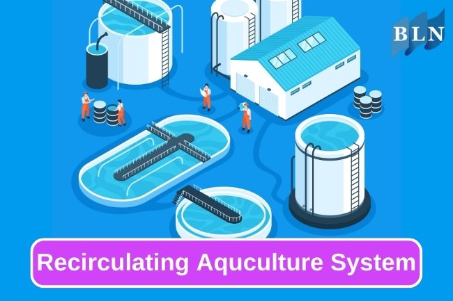 Recirculating Aquaculture System For Sustainable Aquaculture